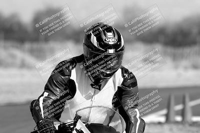 media/Feb-04-2023-SoCal Trackdays (Sat) [[8a776bf2c3]]/Around the Pits (Track Entry-Exit)/